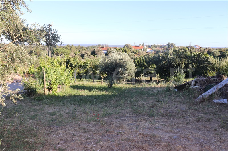 Moradia T1 à venda em Cabeça das Mós, Sardoal — foto 12