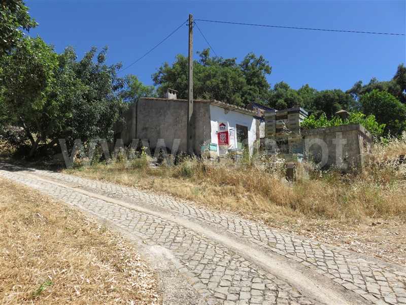Moradia Isolada T1 / Tavira, Santa Catarina da Fonte do Bispo