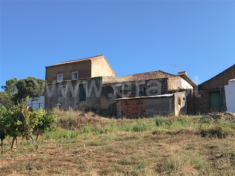 Moradia Isolada  Torres Vedras, Maxial e Monte Redondo - 1373370 - 11