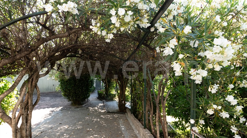 Moradia Isolada  Felgueiras, Idães - 1338476 - 10