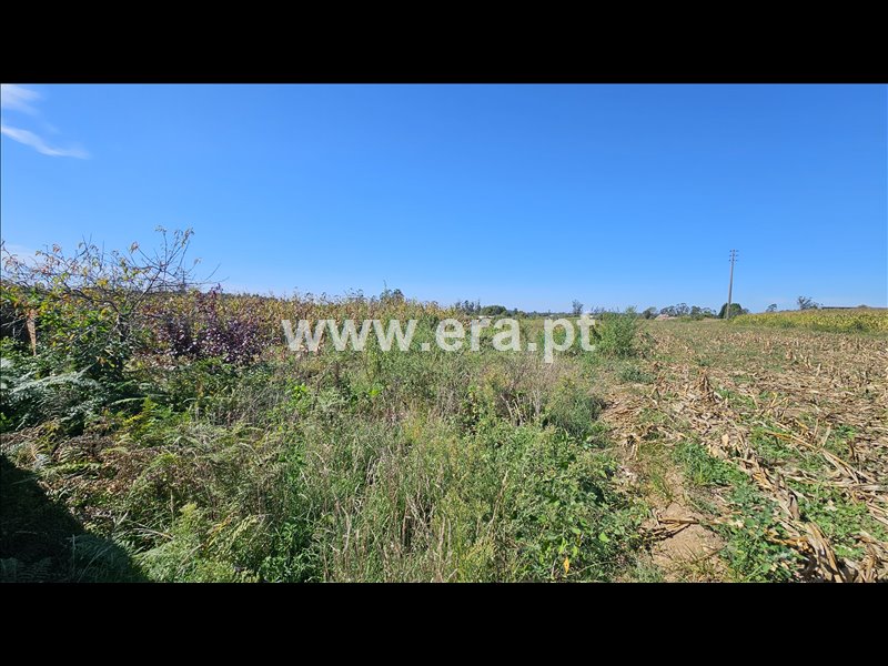 Moradia T2 à venda em Cristelo, Albergaria-a-Velha — foto 2