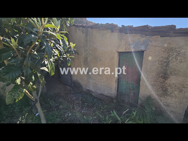 Moradia T2 à venda em Cristelo, Albergaria-a-Velha — foto 3