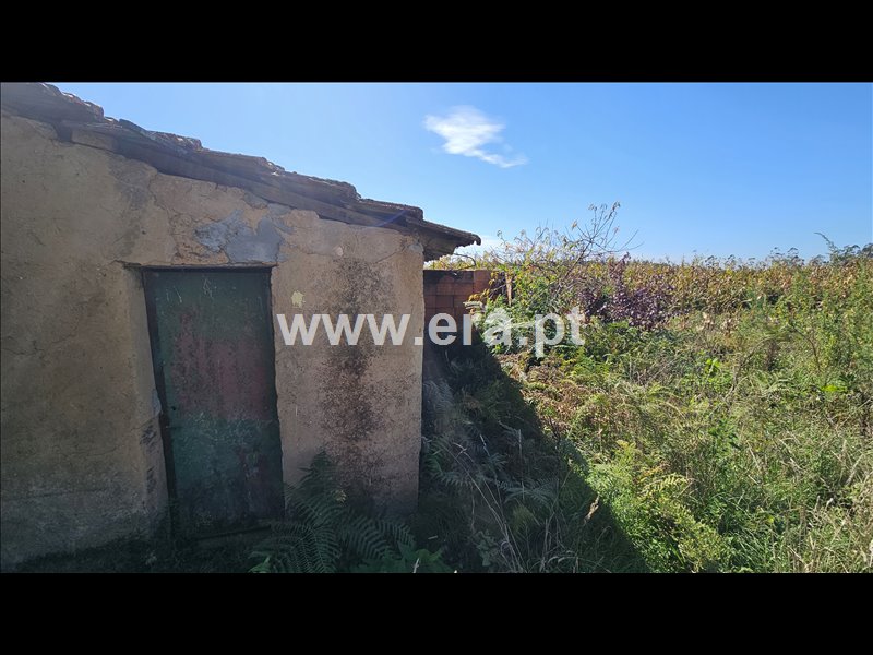 Moradia T2 à venda em Cristelo, Albergaria-a-Velha — foto 5