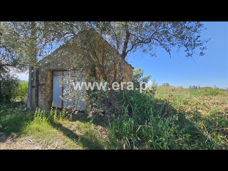 Moradia T2 à venda em Cristelo, Albergaria-a-Velha — foto 7