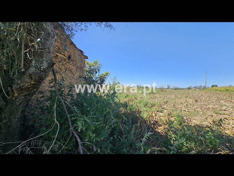 Moradia T2 à venda em Cristelo, Albergaria-a-Velha — foto 9
