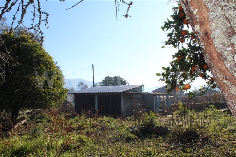 Moradia Isolada T2 Arcos de Valdevez, Prozelo - 1142342 - 7