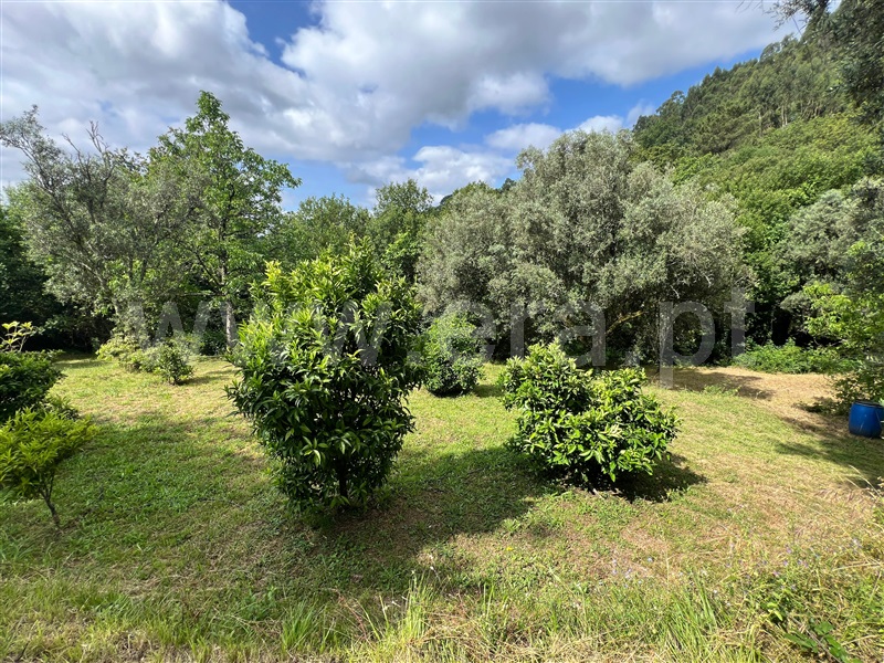 Moradia Isolada T2 Arcos de Valdevez, Távora (Santa Maria e São Vicente) - 1486255 - 8
