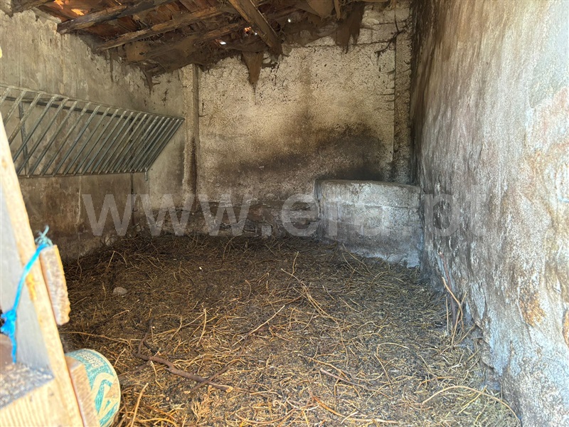 Moradia Isolada T2 Boticas, Vilar e Viveiro - 1367457 - 19