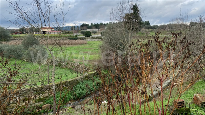 Moradia Isolada T2 Chaves, Vidago (Vidago, Arcossó, Selhariz e Vilarinho das Paranheiras) - 1374499 - 10