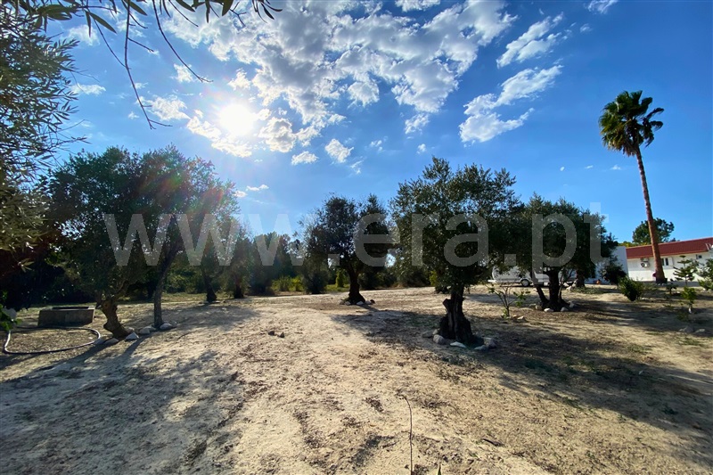 Moradia Isolada T2 Coruche, Coruche, Fajarda e Erra - 1512408 - 10