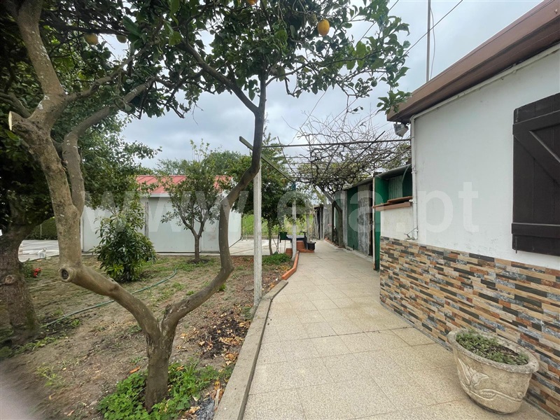 Moradia T2 Estarreja, Avanca - 1490000 - 18