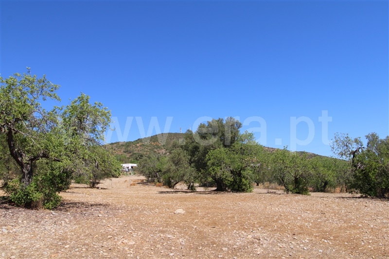 Moradia T2 à venda em Conceição e Estoi, Faro — foto 17
