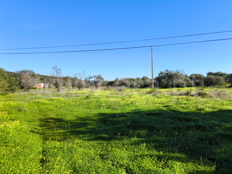Moradia T2 à venda em Estoi, Faro — foto 10