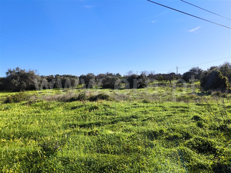 Moradia T2 à venda em Estoi, Faro — foto 11