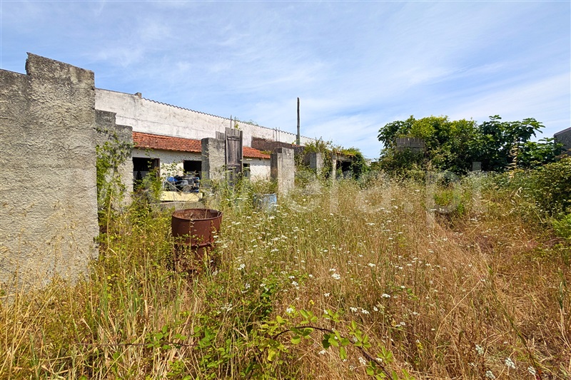 Moradia Isolada T2 Figueira da Foz, Maiorca - 1489292 - 14