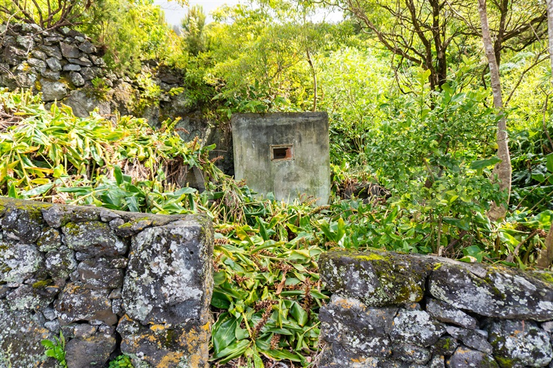 Moradia T2 à venda em Ribeiras, Lajes do Pico — foto 4