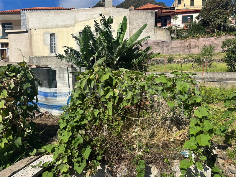 Moradia Isolada T2 Machico, Machico - 1494662 - 3