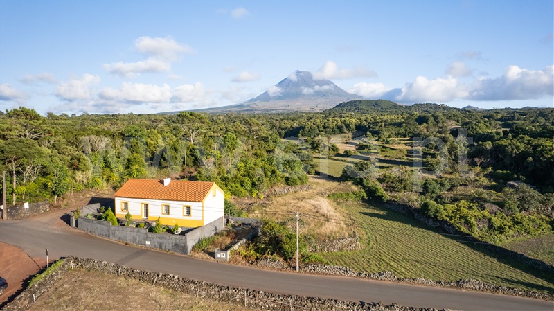 Moradia Isolada T2 / Madalena, Madalena