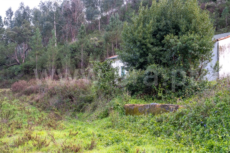 Moradia Isolada T2 com Terreno Monchique, Alferce - 1428540 - 9