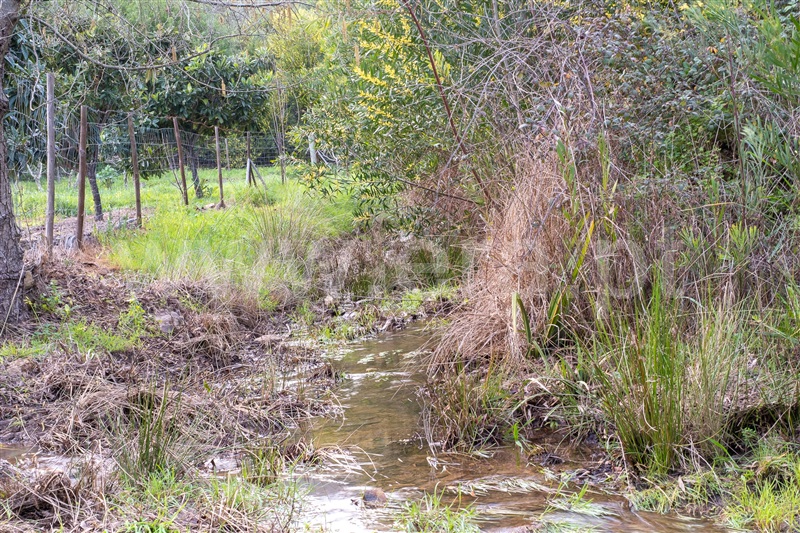 Moradia Isolada T2 com Terreno Monchique, Alferce - 1428540 - 10