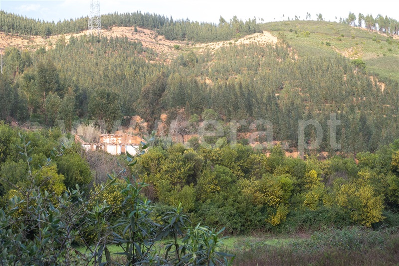 Moradia Isolada T2 com Terreno Monchique, Alferce - 1428540 - 13
