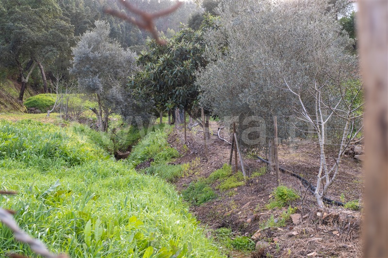 Moradia Isolada T2 com Terreno Monchique, Alferce - 1428540 - 14