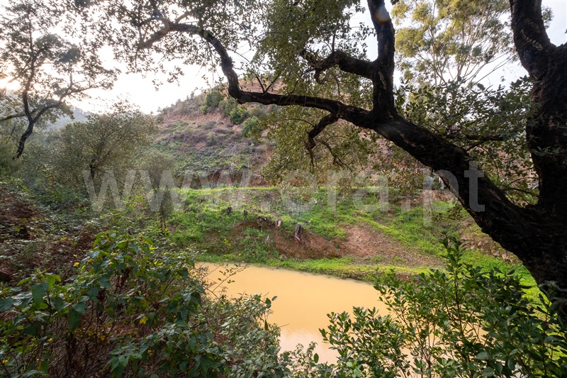 Moradia Isolada T2 com Terreno Monchique, Alferce - 1428540 - 17