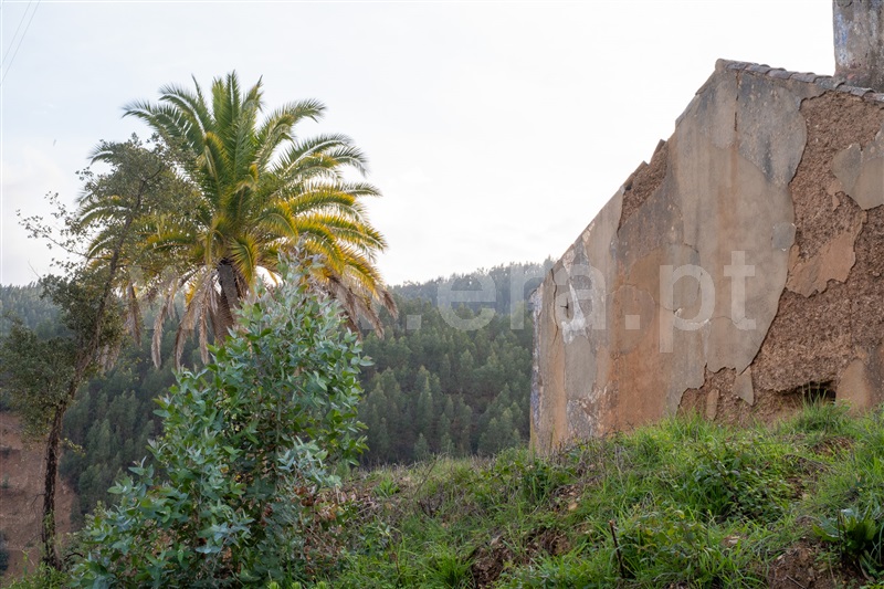 Moradia Isolada T2 com Terreno Monchique, Alferce - 1428540 - 18