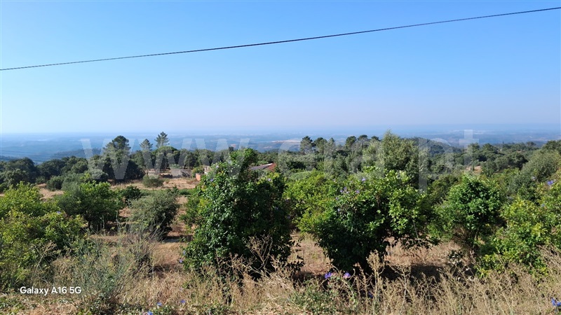 Moradia Isolada T2 Monchique - 1511145 - 8