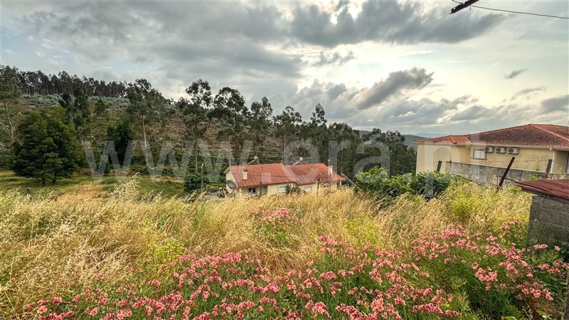 Moradia Isolada T2 Penafiel, Capela - 1491231 - 10