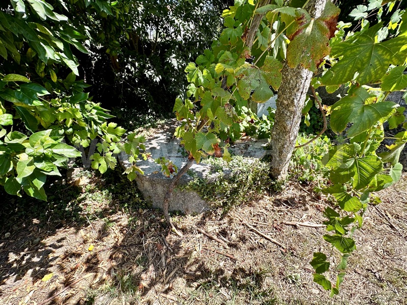 Moradia Isolada T2 com Terreno Penafiel, Castelões - 1345614 - 21