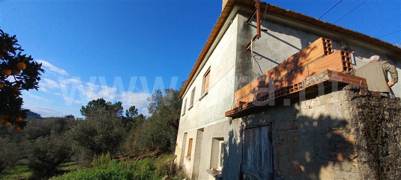 Moradia Isolada T2 Pombal, Abiul - 1295130 - 10