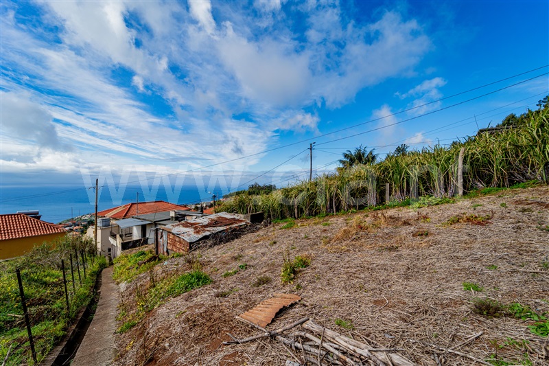 Moradia Isolada T2 Ponta do Sol - 1439170 - 7