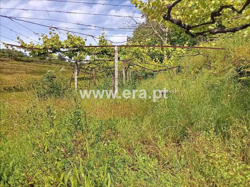 Moradia T2 à venda em Beiral do Lima, Ponte de Lima — foto 17