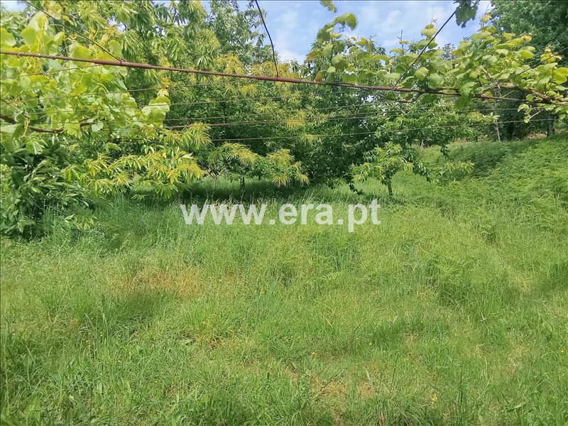 Moradia T2 à venda em Beiral do Lima, Ponte de Lima — foto 18