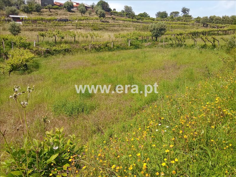 Moradia T2 à venda em Beiral do Lima, Ponte de Lima — foto 19