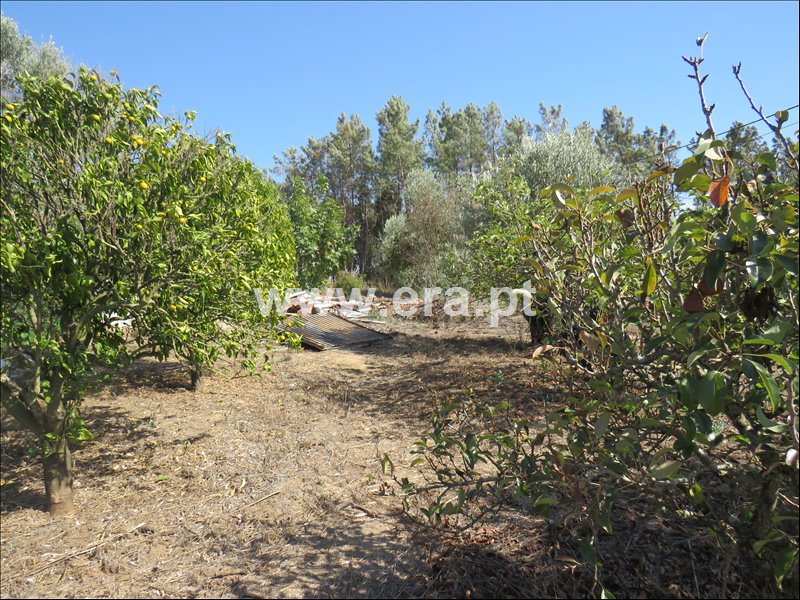 Moradia T2 à venda em São João da Ribeira e Ribeira de São João, Rio Maior — foto 8