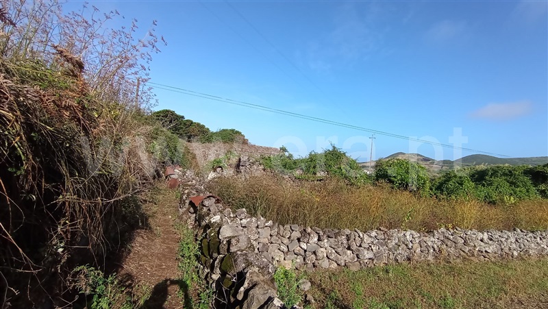 Andar Moradia T2 Santa Cruz da Graciosa, Guadalupe - 1488748 - 18