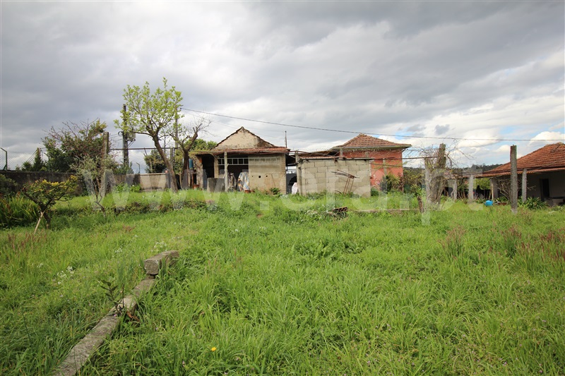 Moradia Isolada T1 Santo Tirso, Reguenga - 1479385 - 10