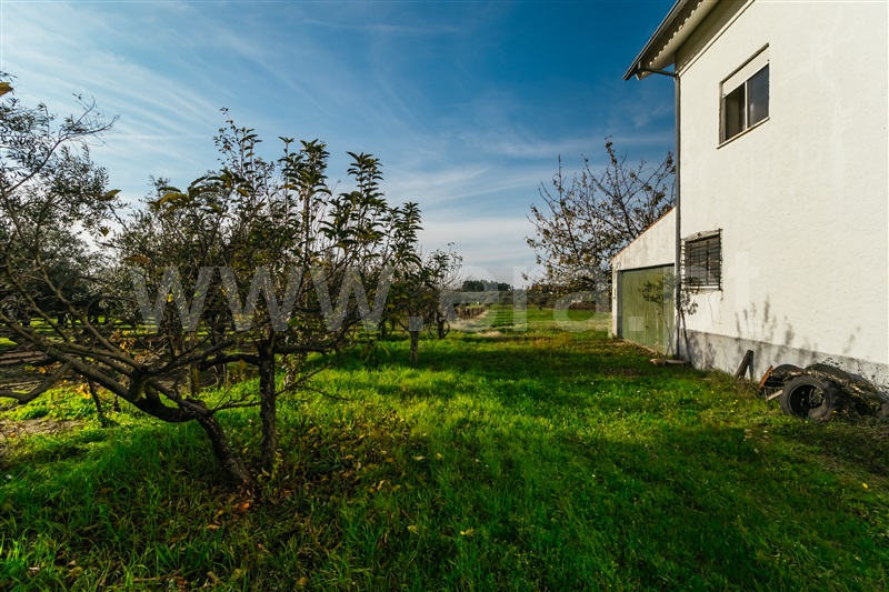 Moradia Isolada T2 Seia, Santa Comba - 1249531 - 6