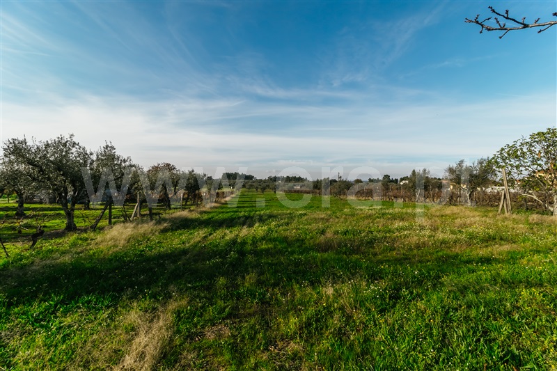 Moradia Isolada T2 Seia, Santa Comba - 1249531 - 7