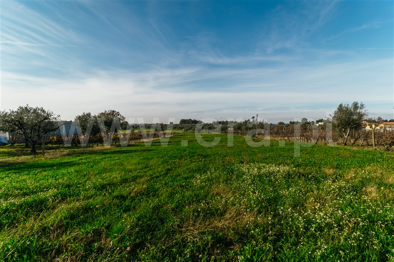 Moradia Isolada T2 Seia, Santa Comba - 1249531 - 9
