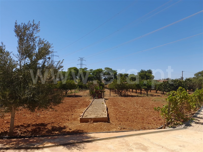 Moradia Isolada T2 Silves, Tunes - 1263772 - 10