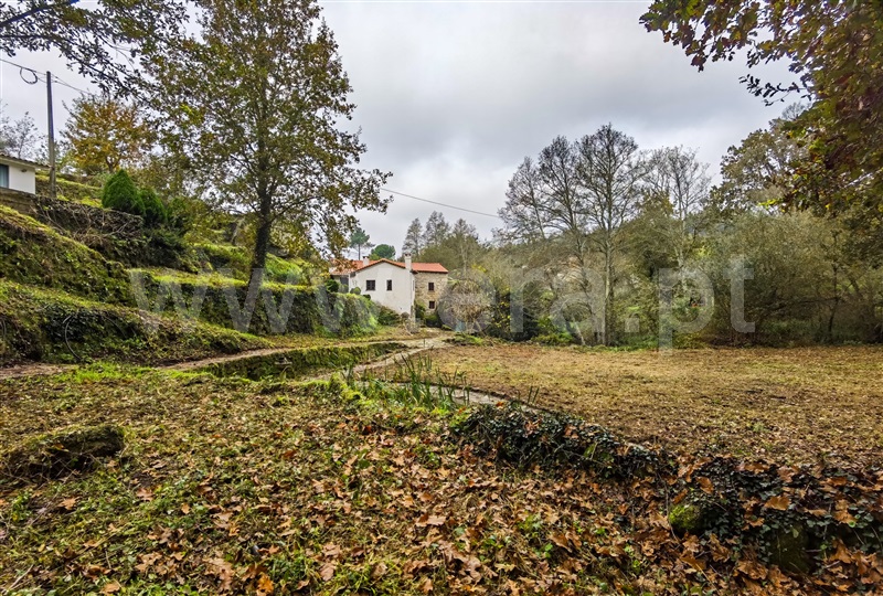 Moradia Isolada T2 Tábua, Santo Antão - 1439969 - 1