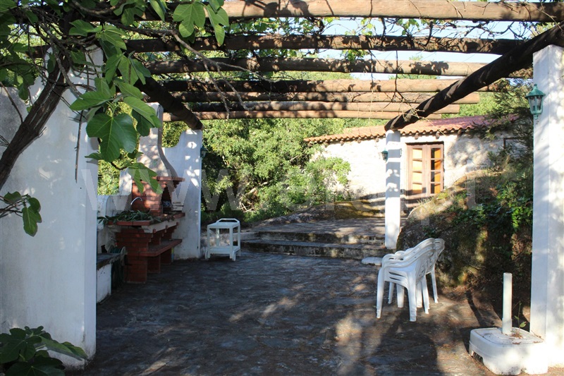 Moradia Isolada T2 Tábua, Santo Antão - 1439969 - 34