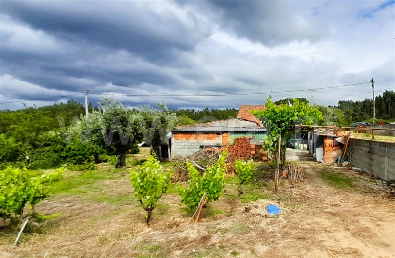 Moradia Isolada  Tomar, Asseiceira - 1407687 - 3