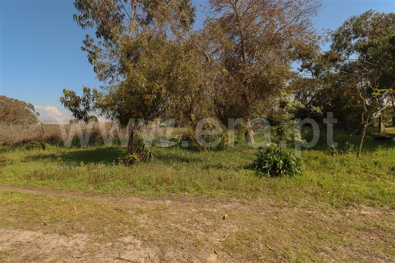 Moradia T2 à venda em A dos Cunhados e Maceira, Torres Vedras — foto 17