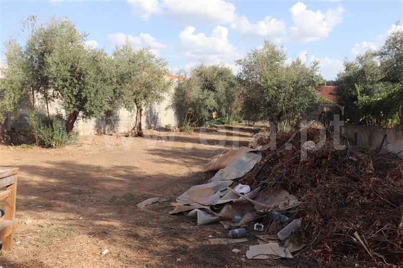 Moradia Isolada T3 Abrantes, Abrançalha de Baixo - 1511697 - 7