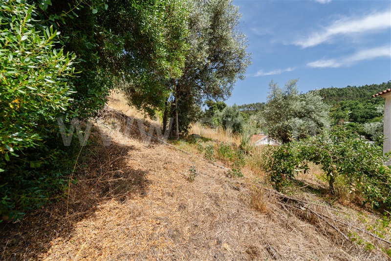 Moradia Isolada  Abrantes, Fontes - 1499315 - 55