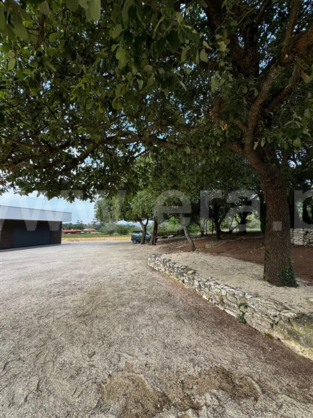 Moradia Isolada T3 Alcobaça, Turquel - 1491146 - 8